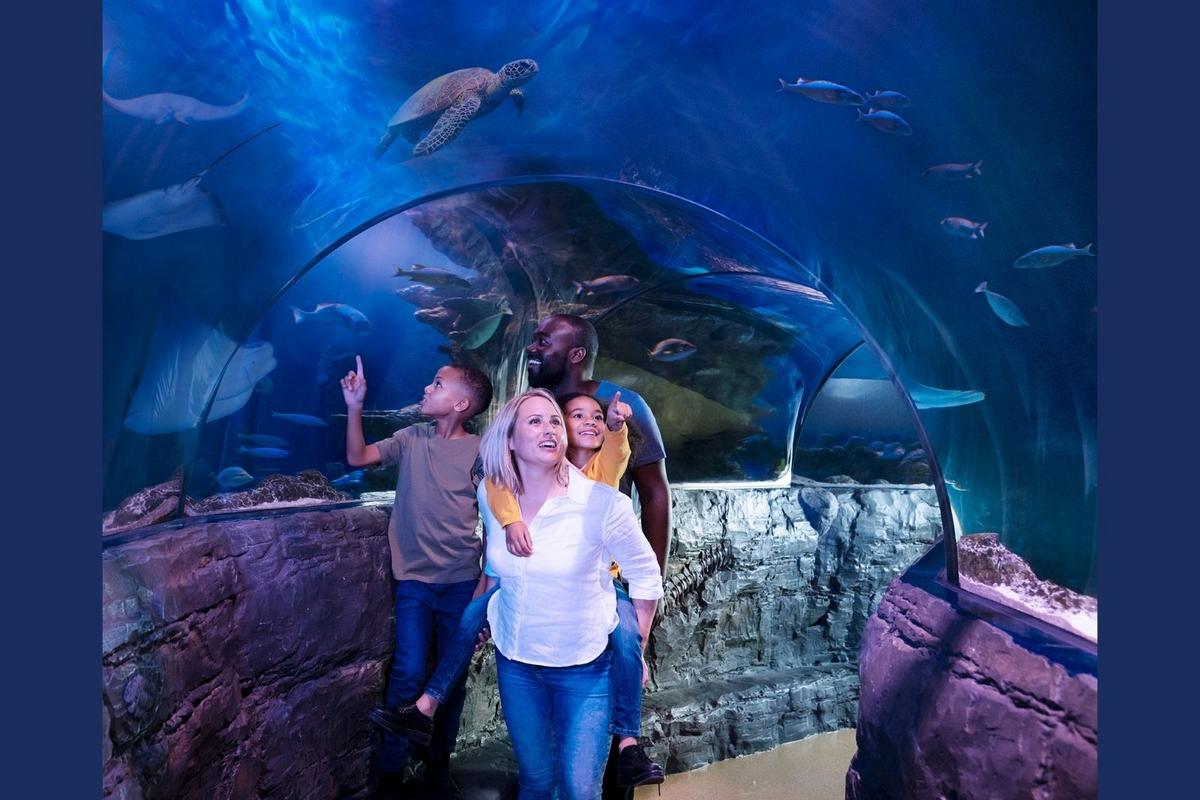 Minnesota's Largest Aquarium Gives Healthcare Workers Free Entry All September