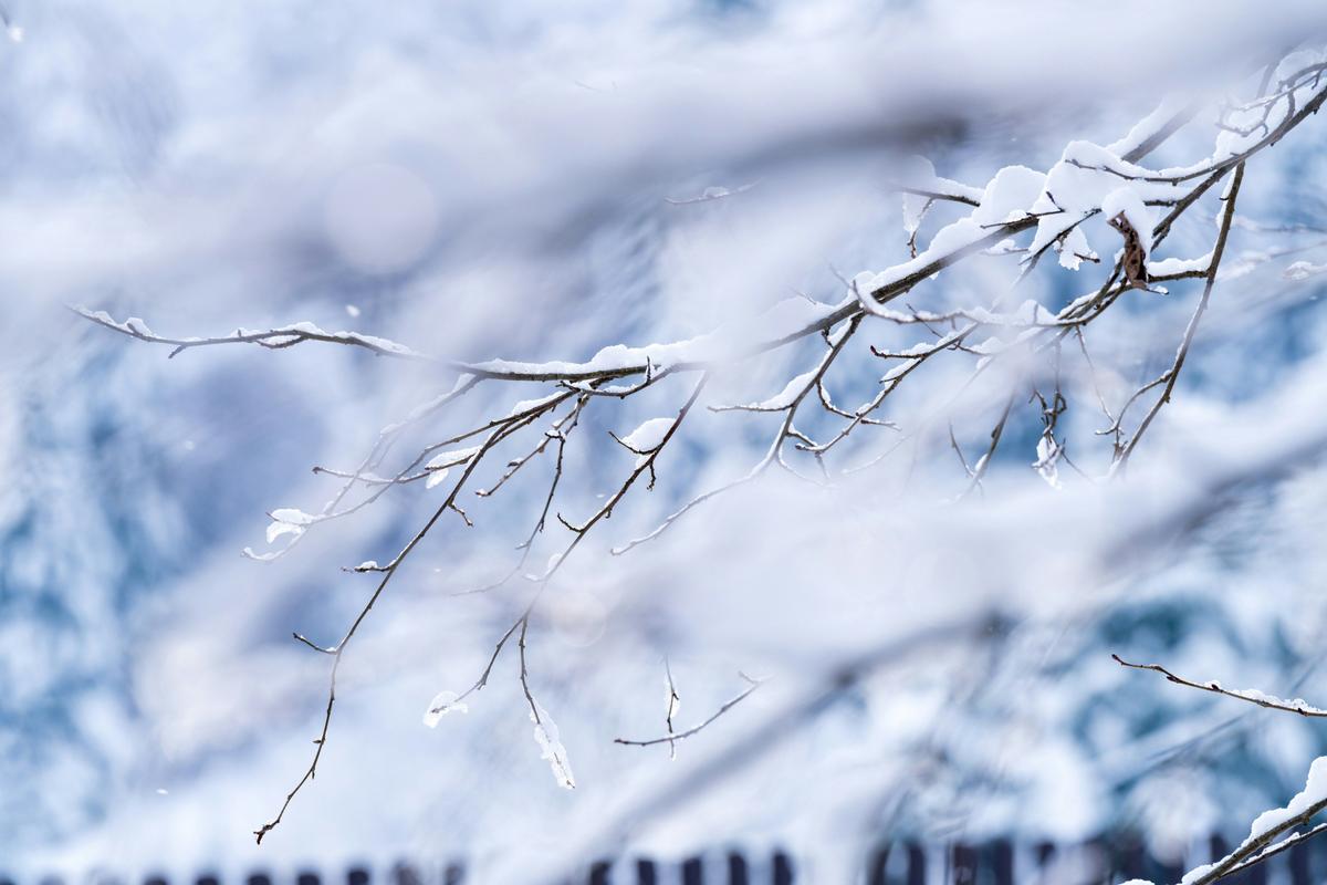 The Northland Could See Its First Snowflakes Tuesday Morning The Northland Could See Its First Snowflakes Tuesday Morning