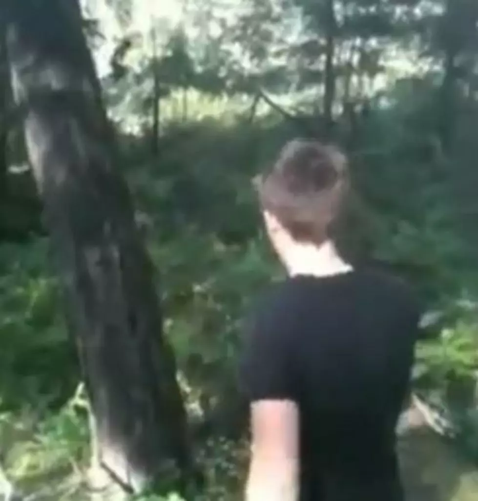 Bigfoot Spotted! Is This Video Proof? [VIDEO]