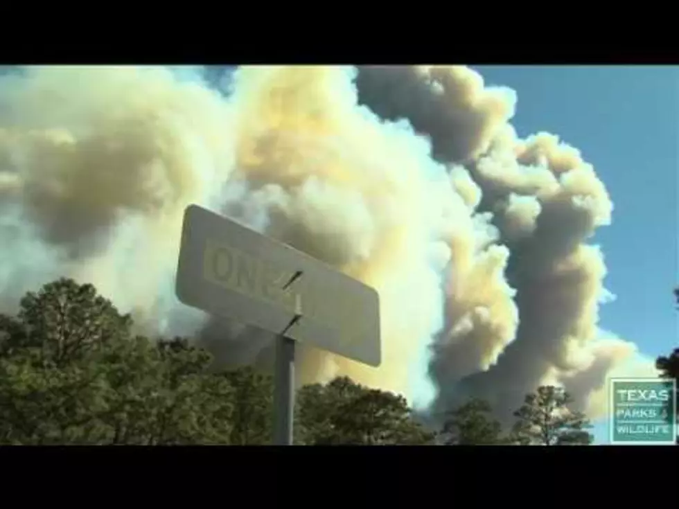 Wildfire At Bastrop State Park [VIDEO]