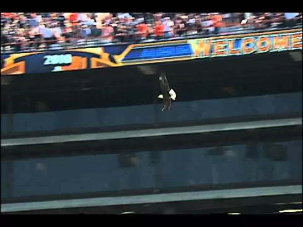 School Mascot Slams Into Press Box Window [VIDEO]
