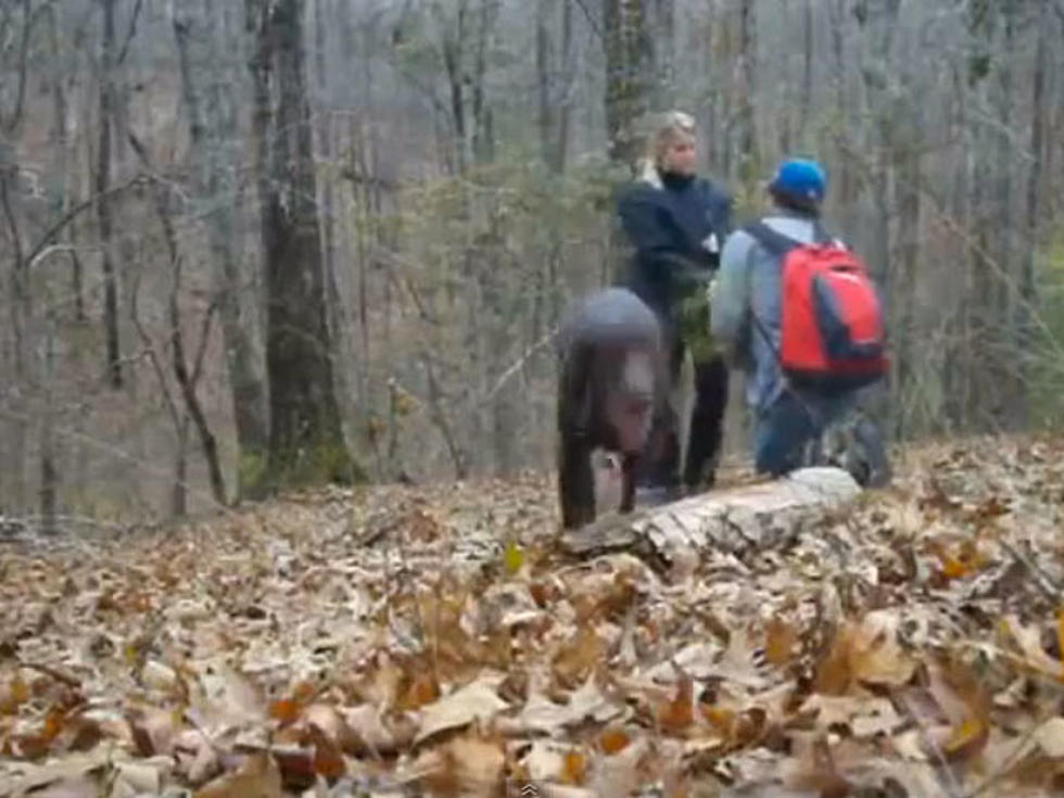 Jerk Dog Totally Ruins Marriage Proposal [VIDEO]