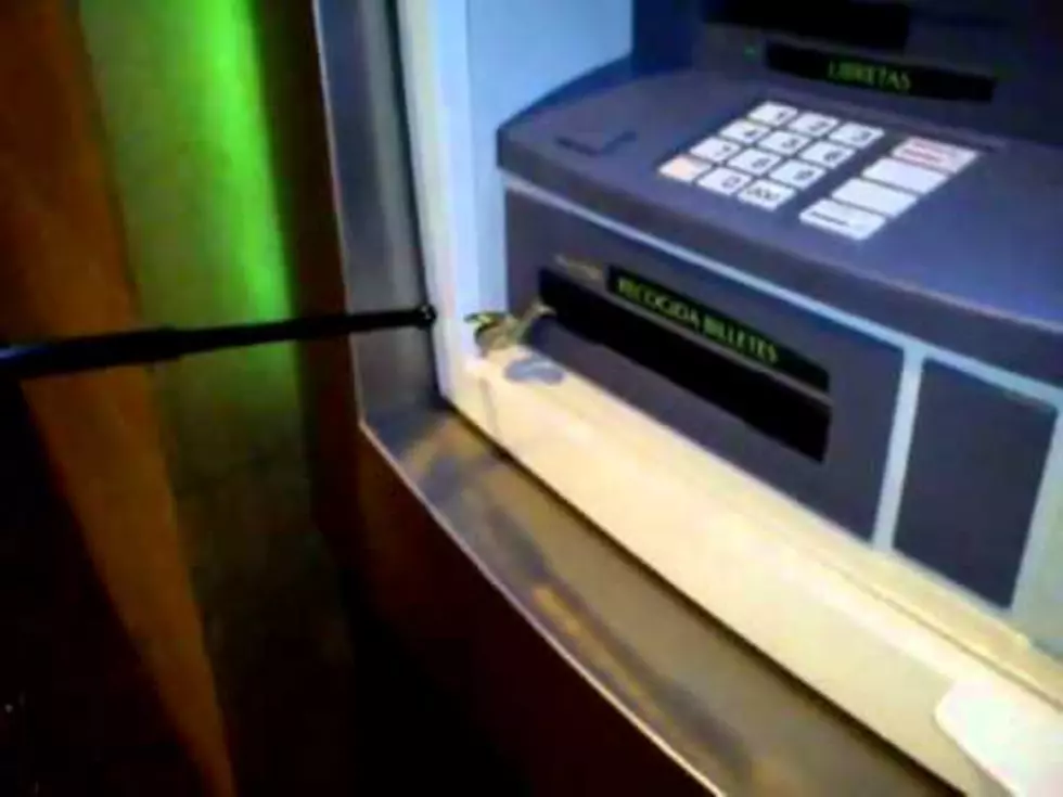 Instead Of Cash, Snake Comes Out Of ATM [VIDEO]