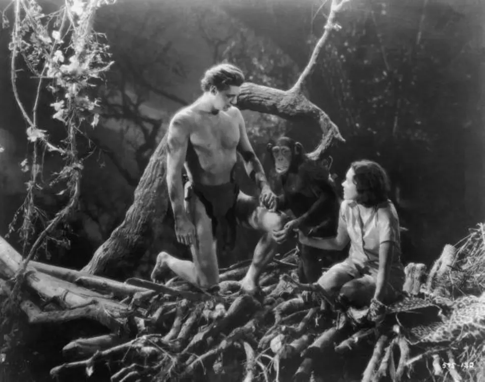 ‘Cheetah’ – Chimp From Tarzan Movies Dies At 80