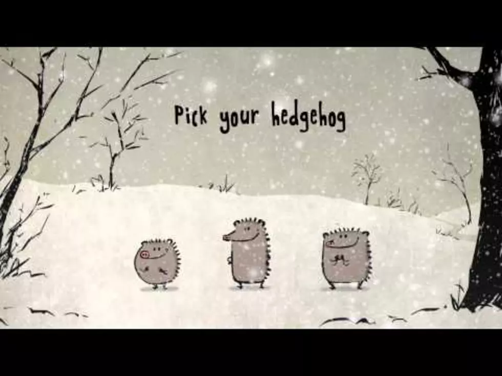 Finally…Something That Has Worse Luck Than Charlie Brown – Singing Hedgehogs [VIDEO]