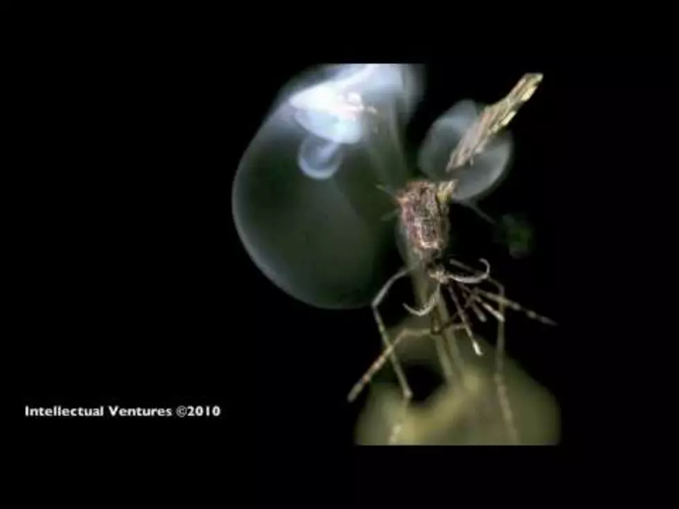 Hate Mosquitoes? – You’re Gonna Love The Mosquito Death Laser [Video]
