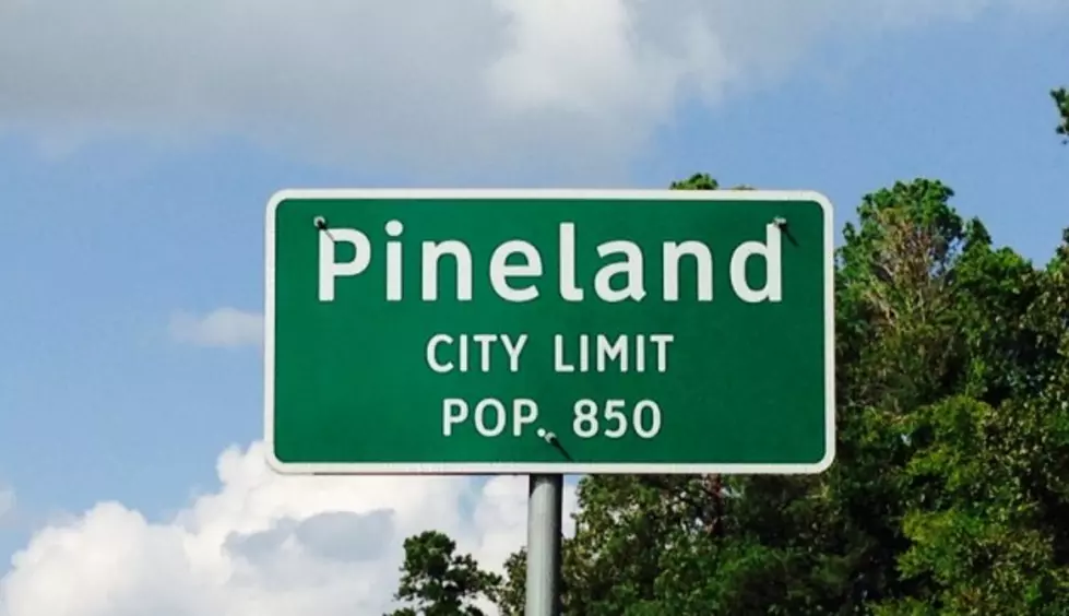 Pineland Day Festivities Set for this Weekend
