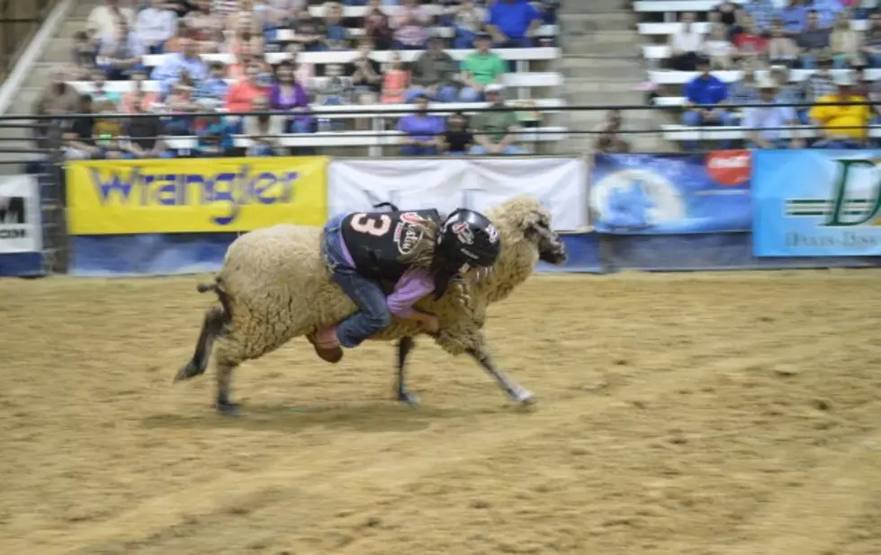 Young Girl Tops All Riders at Friday&#8217;s Mutton Bustin&#8217;