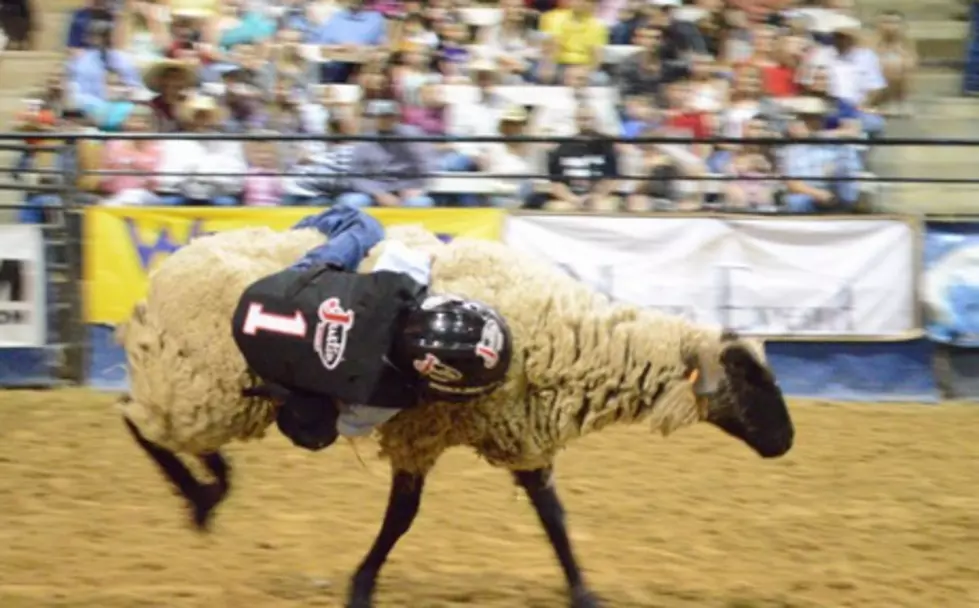 Sign Up for Mutton Bustin’ at the Angelina Benefit Rodeo