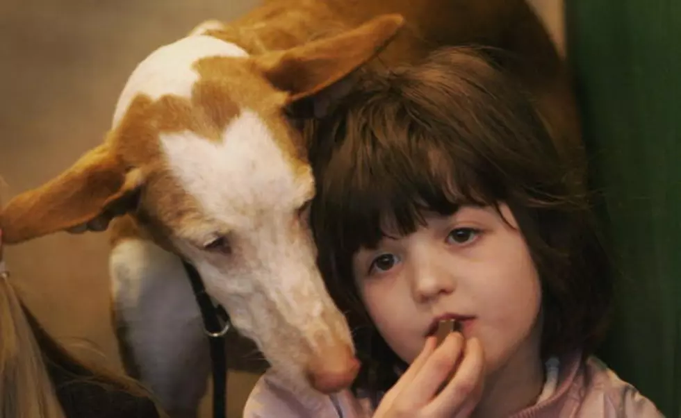 4th Graders Tricked into Eating Pet Treats at School