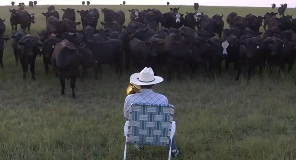 Trombone Playing Farmer Brings Home the Beef [VIDEO]
