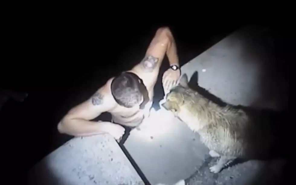 Texas Cop Strips to Skivvies to Rescue Dog in Water