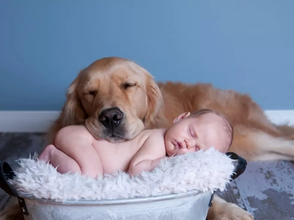 Big Dog Teaches Baby to Jump [WATCH]