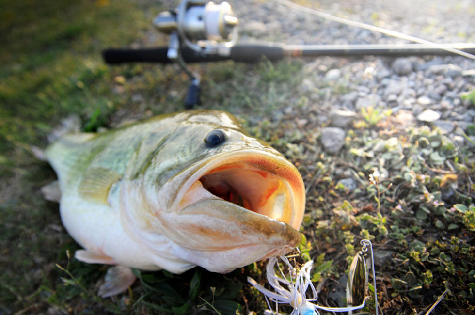 2016 Big Bass Splash on Toledo Bend – Friday Standings