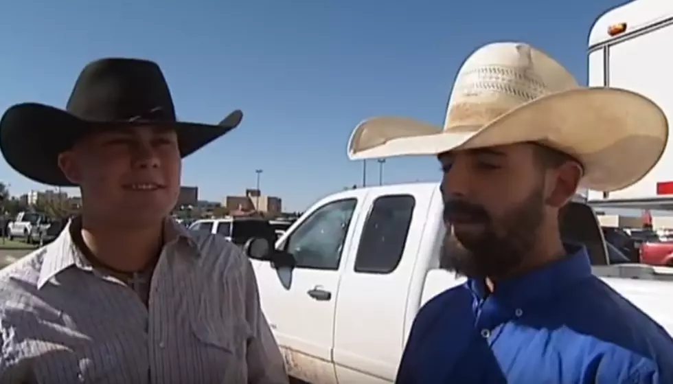 Texas Tech Cowboys Give Hilarious Account of Capturing Escaped Cows