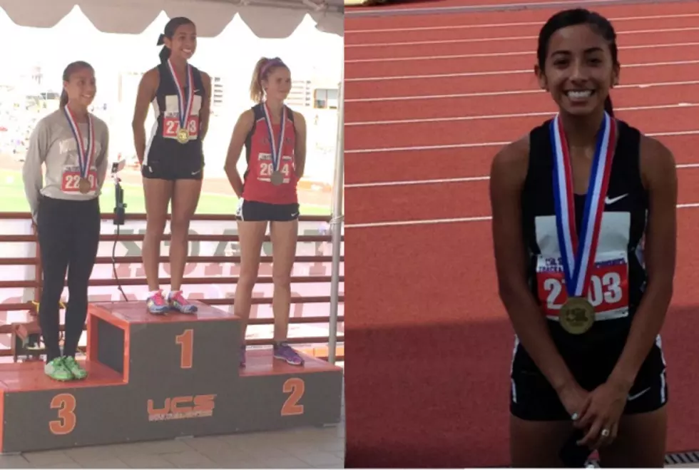 Area Athletes Shining at State