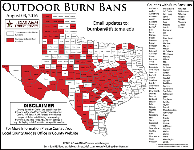 Burn Bans Issued for Parts of East Texas