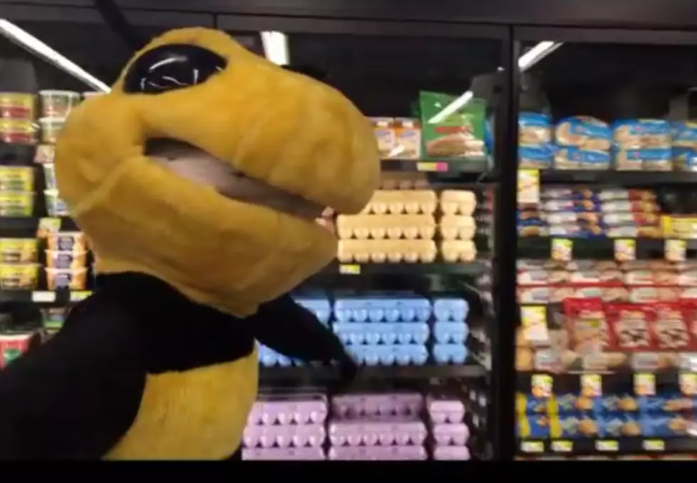 Hudson Mascot Gives Tour of New Brookshire Brothers Express