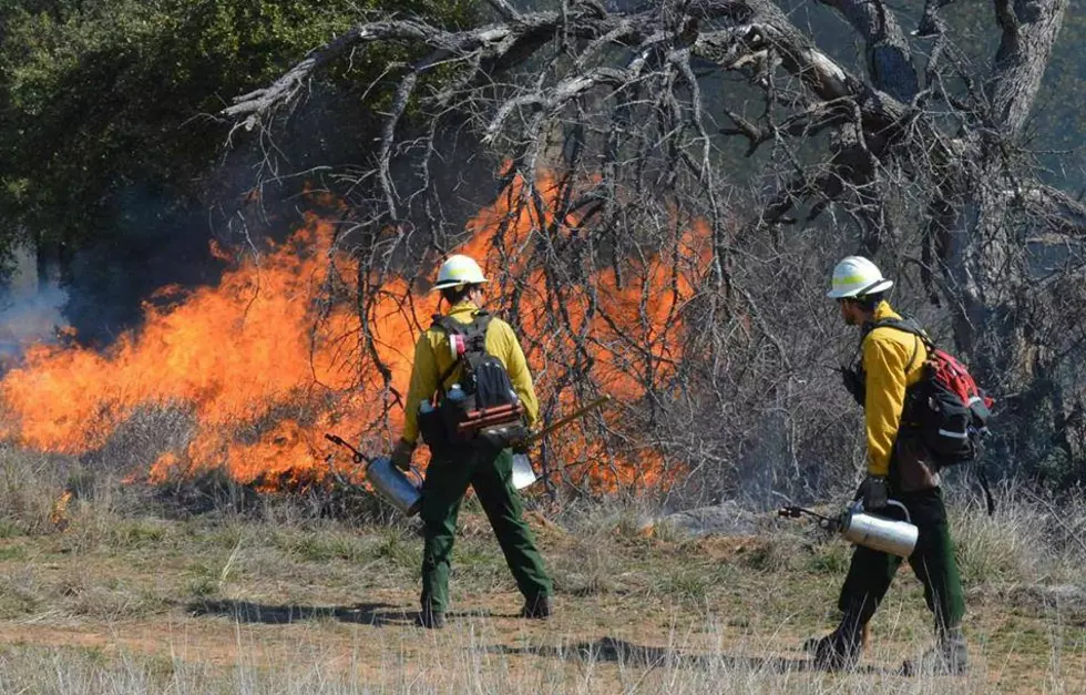 Prescribed Burn Set Today for Angelina National Forest