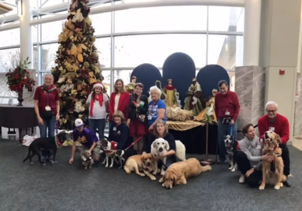 Therapy Dogs Bring Holiday Cheer to CHI St. Luke’s Health-Memorial