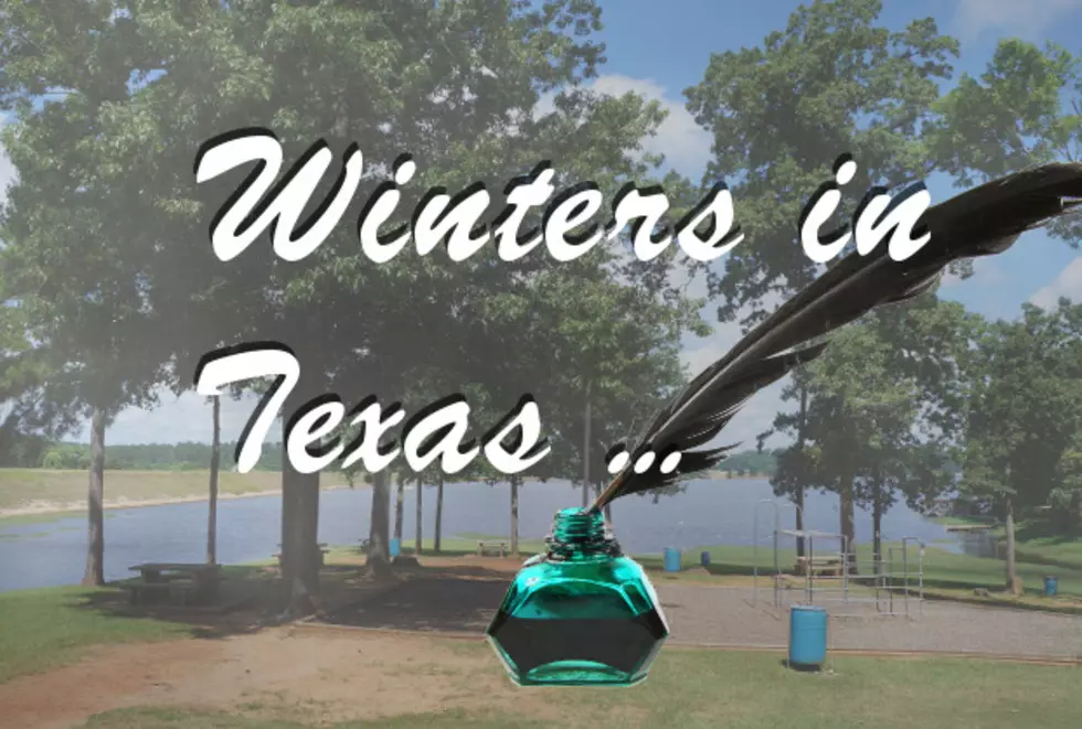 Haiku Poems Inspired By The East Texas Winters