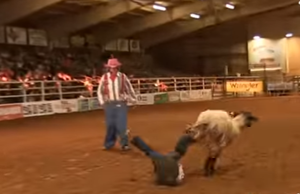 Night One of Mutton Bustin’ Features Spills, Thrills, and a 90-point Ride