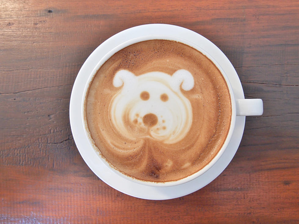 Get Your Dog A &#8216;Puppychino&#8217; At Participating Starbucks Locations
