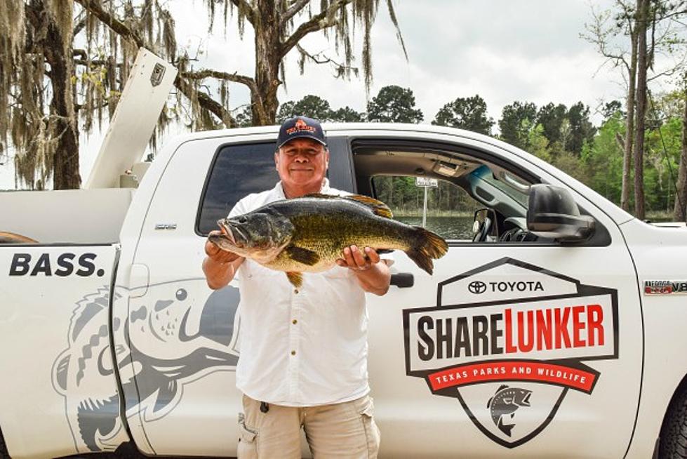 Lufkin Man Makes History with Monster Bass Caught on Kurth Lake