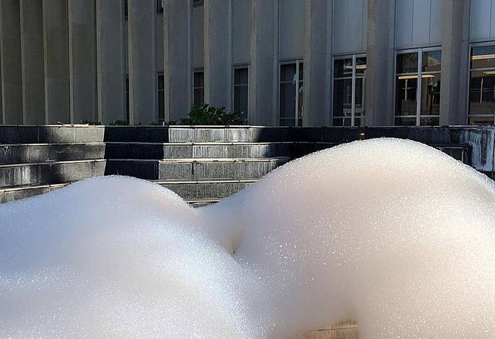Video Released of Persons Placing Soap in Angelina Courthouse Fountain