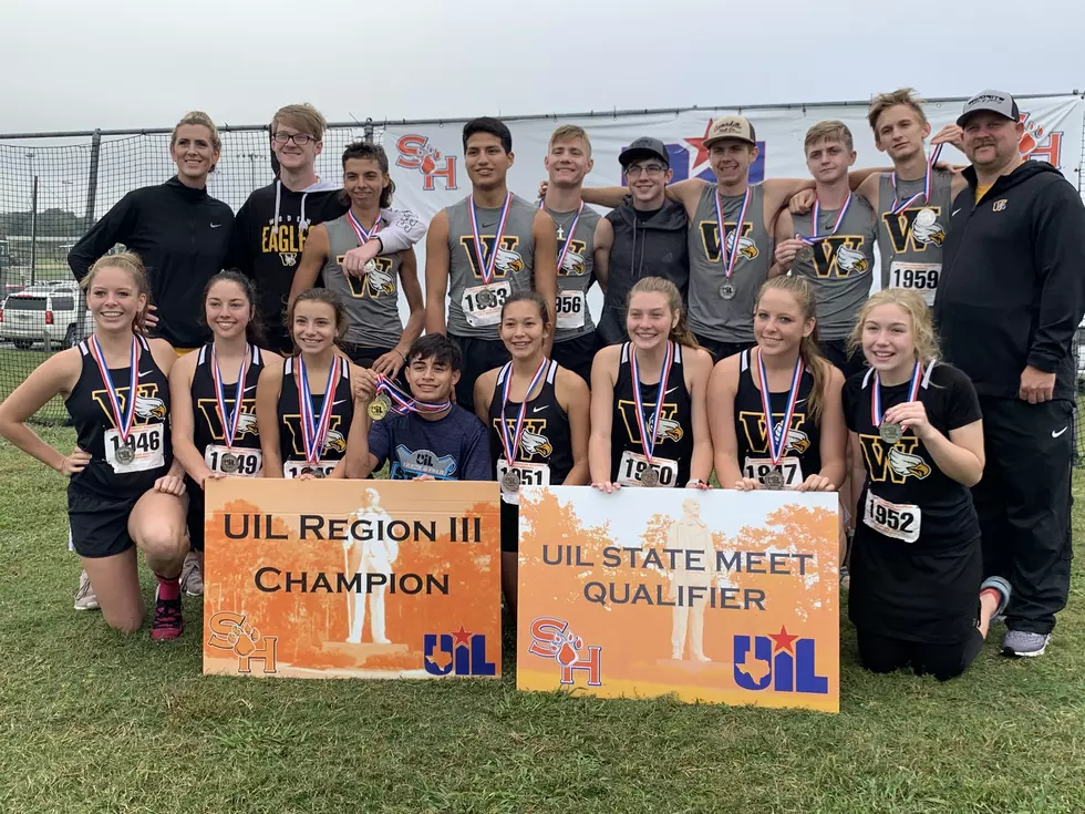 Area Cross Country Teams/Individuals Punch Ticket to State