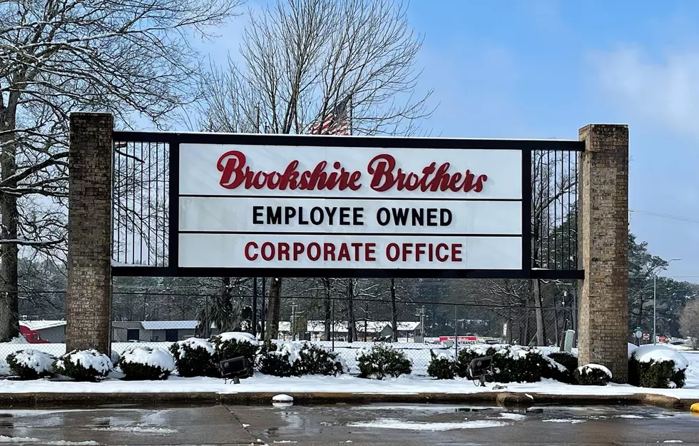 Brookshire Brothers Allots $90,000 in Grants to 34 Groups