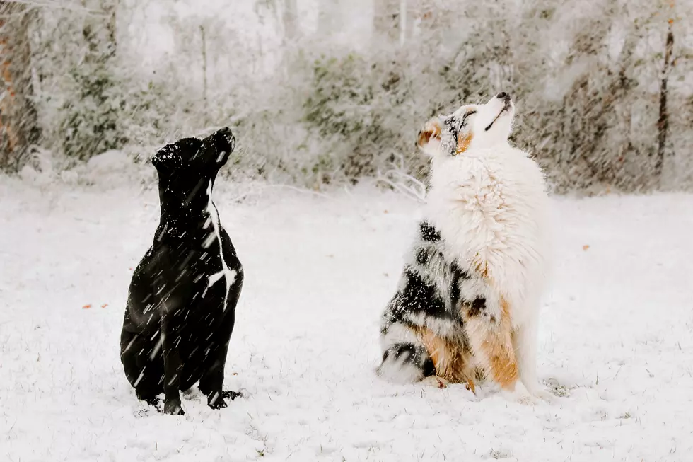 Several Winter Weather Scenarios Possible for Lufkin, Nacogdoches