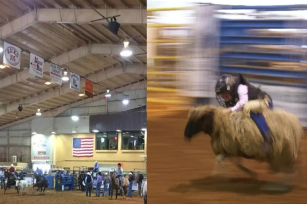 40th Nacogdoches Pro Rodeo &#038; Steer Show Set for March 25-27