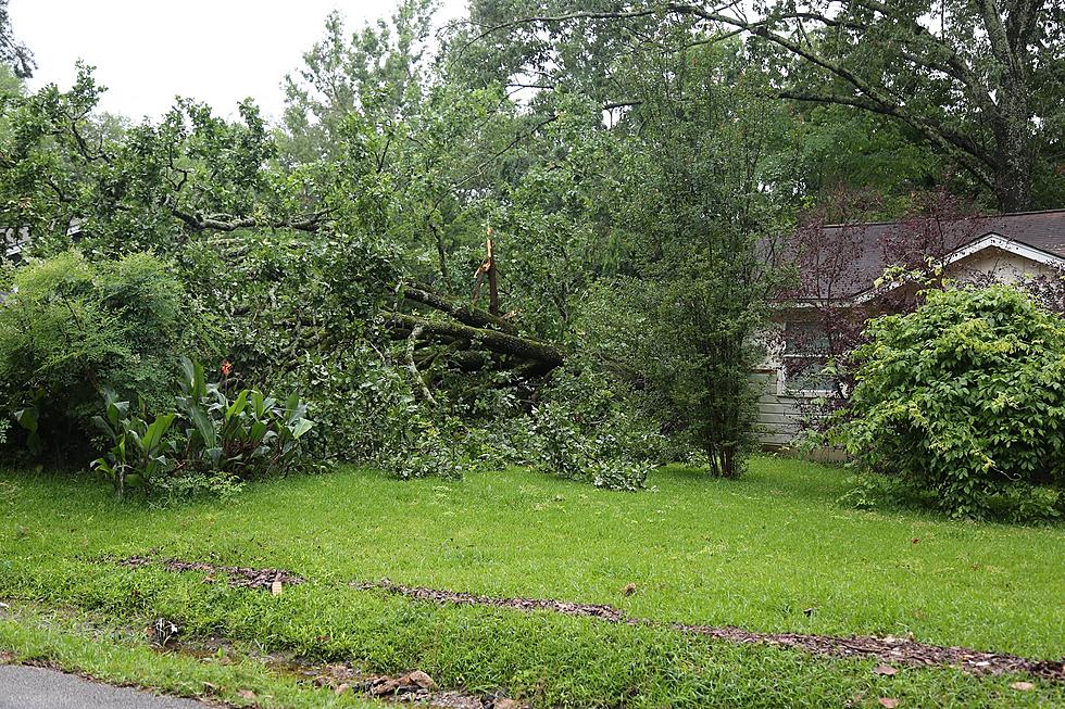 Lufkin Woman Passes Away After Tree Falls Onto Home