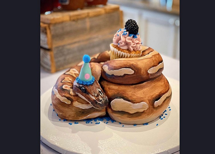 Slithering Snake Cake – HOW TO CAKE IT