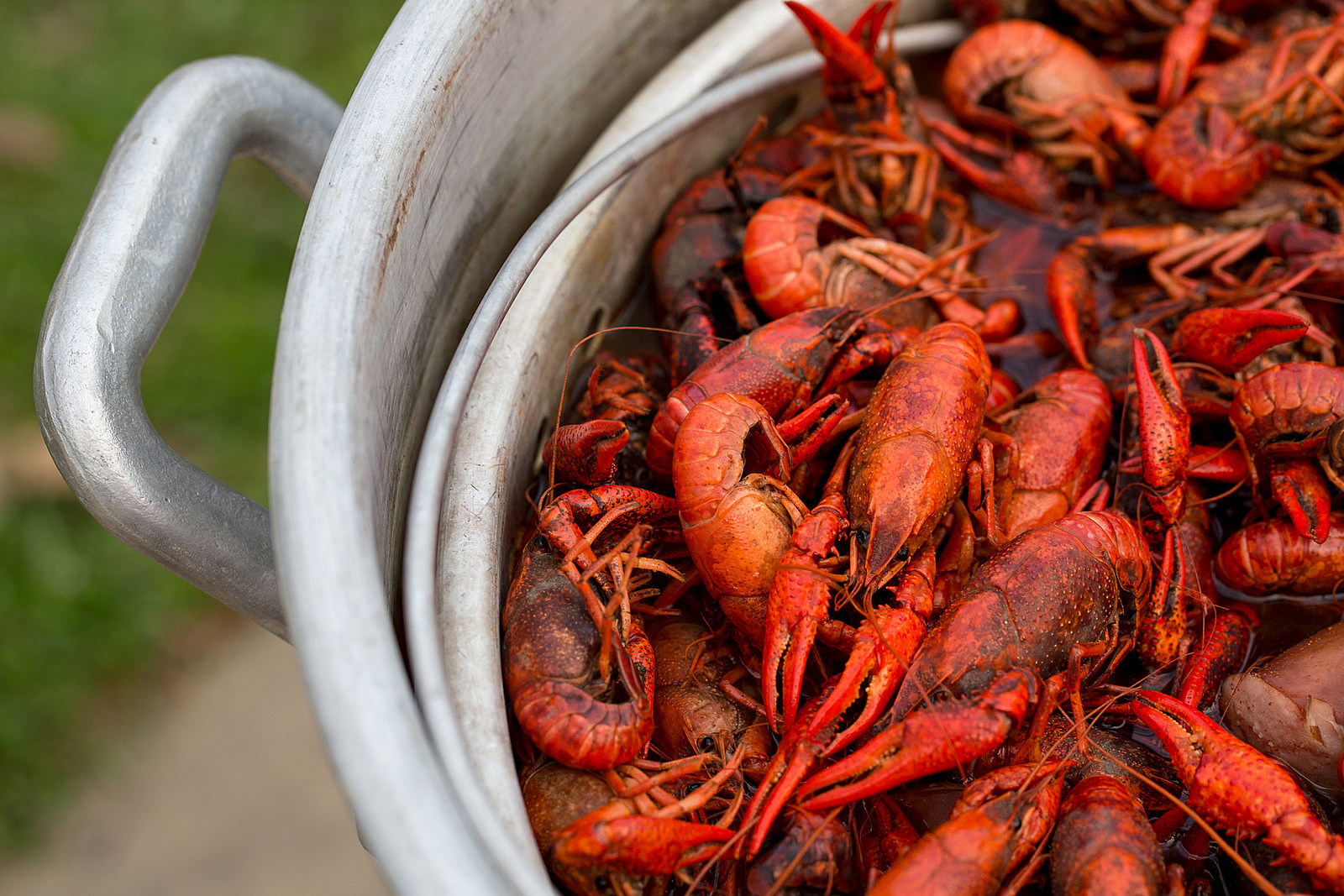Get Excited Crawfish Season Is About To Start In East Texas