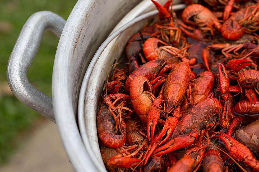 It’s Crawfish Season! Here’s the Scoop for Mudbugs in East Texas