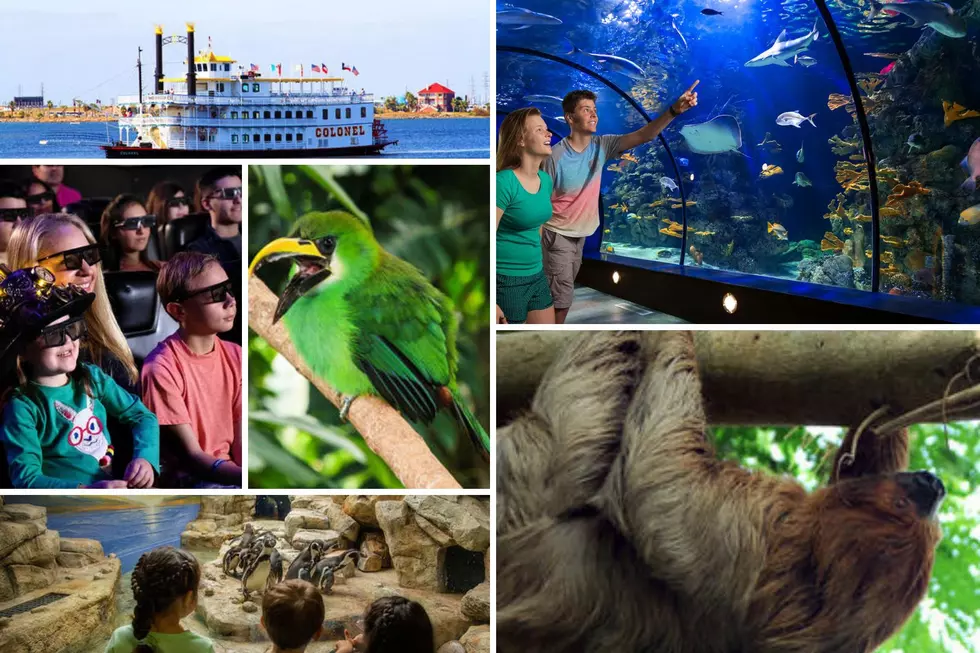 Win tickets to Moody Gardens in Galveston