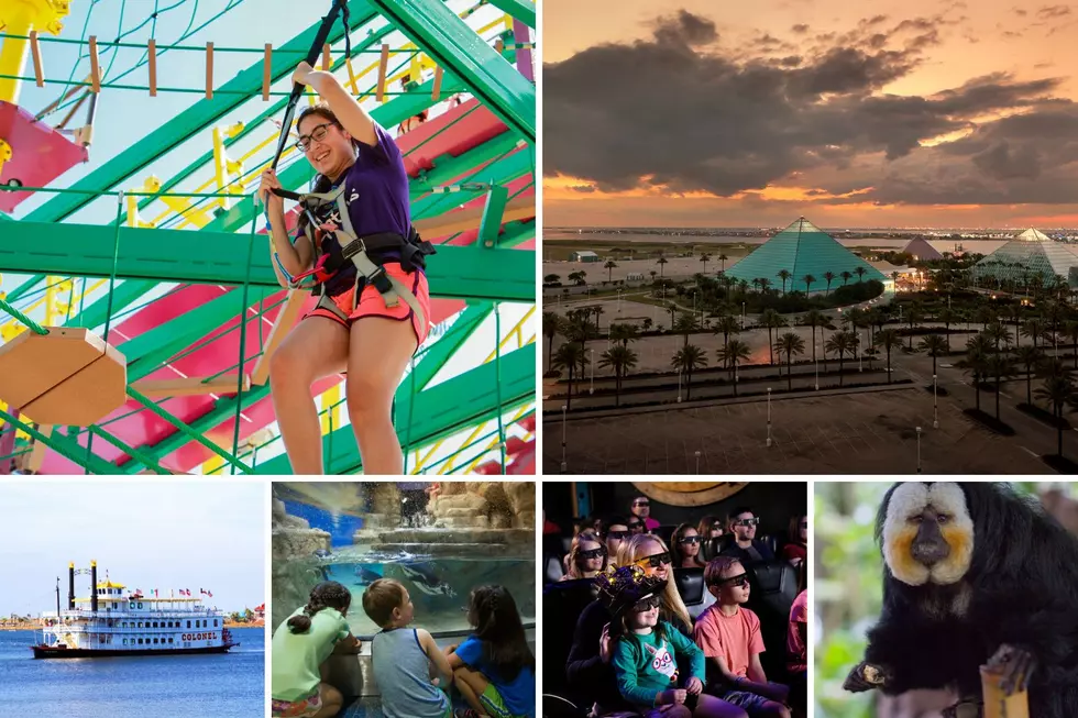 Win Tickets to Moody Gardens in Galveston – Last Chance of Summer