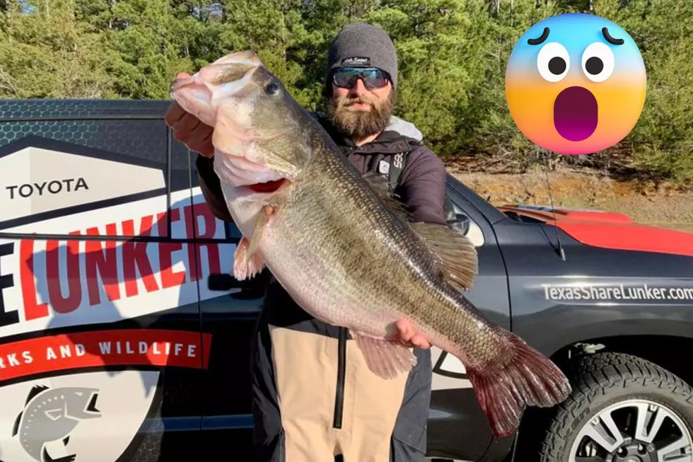 Angler Makes Colossal Catch of Monster Bass on Lake Nacogdoches