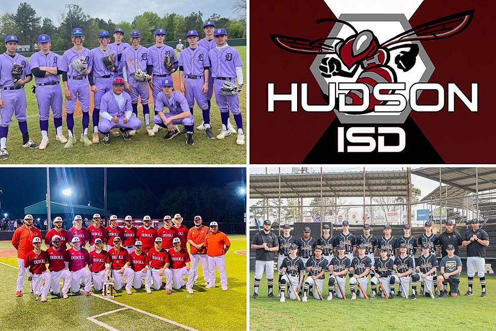 Hudson, Diboll, Central Heights Among State Ranked Baseball Teams