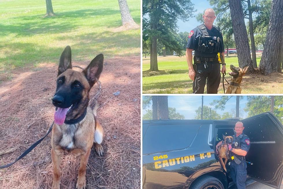 Meet Nacogdoches' Newest K9