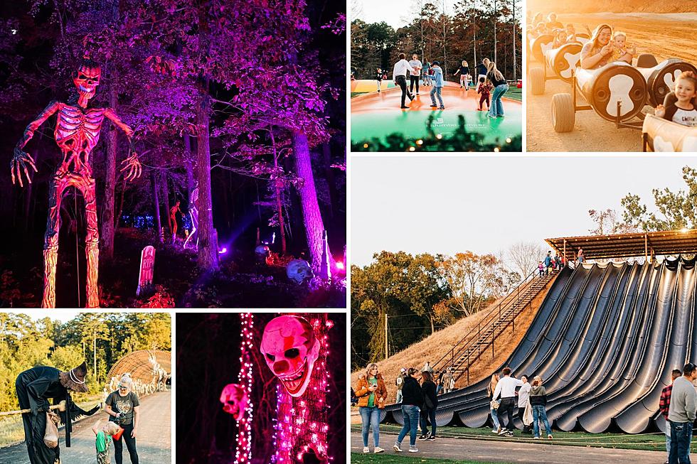 Get 50% Off Entry At The Piney Park Fall Festival & Spooky Trail