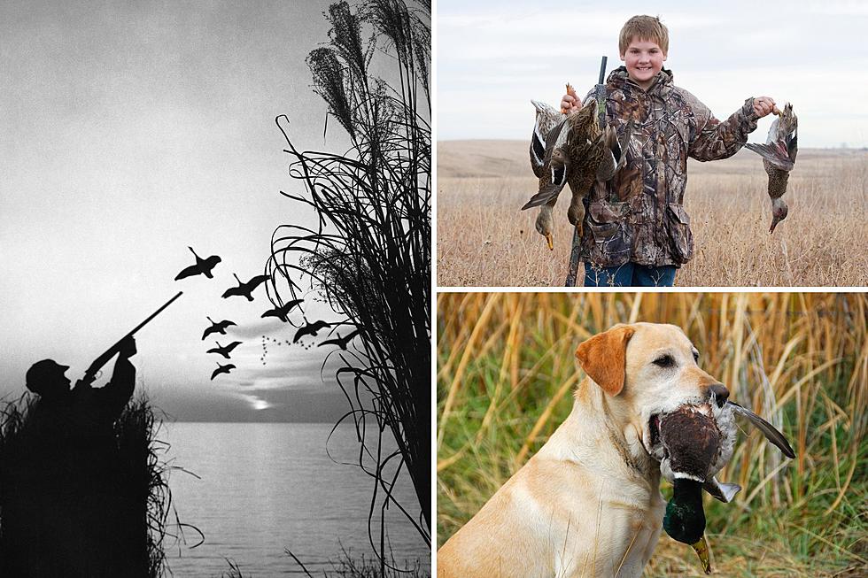 Texas Game Bird Hunters Warned About Fast-Spreading Avian Virus