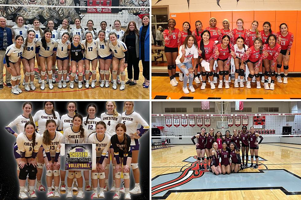 Eight Deep East Texas Volleyball Teams Advance to the Area Round