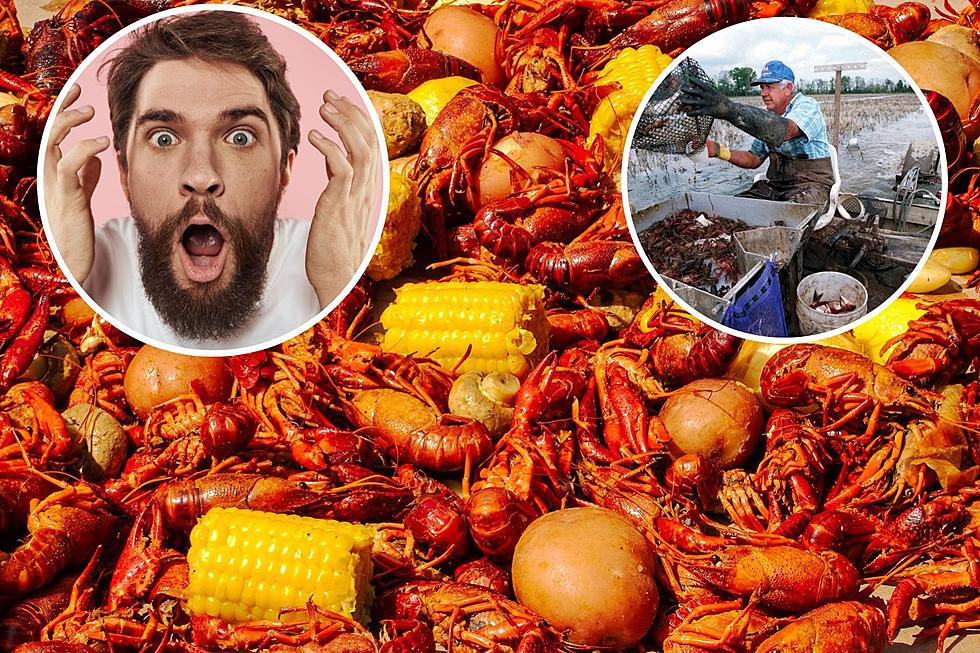 Will This Be The Worst Crawfish Season Ever?