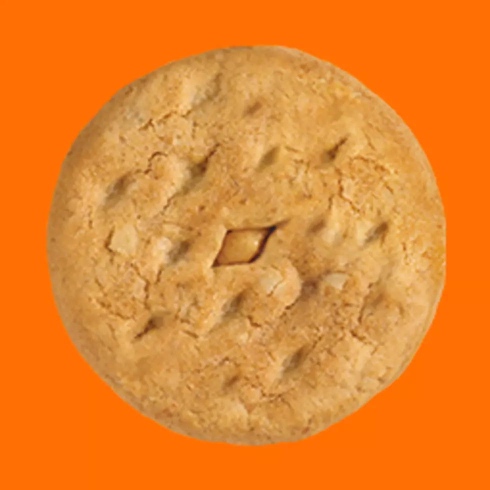 Contributed Photo/Girl Scouts
