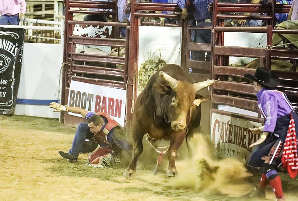 Bull Bash in Lufkin Featuring Two of the World's Rankest Bulls