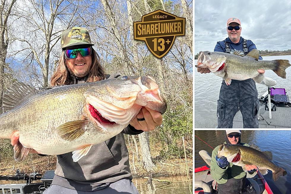 This Small Texas Lake is Making A Name For Trophy Largemouth Bass