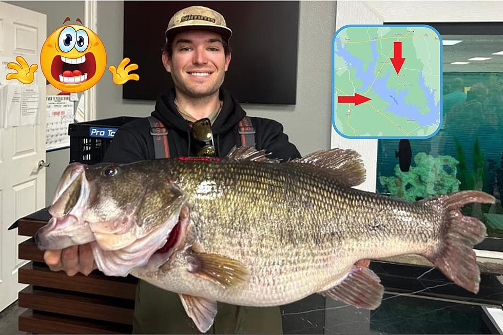 New Yorker Lands Monster Bass on Lake Sam Rayburn